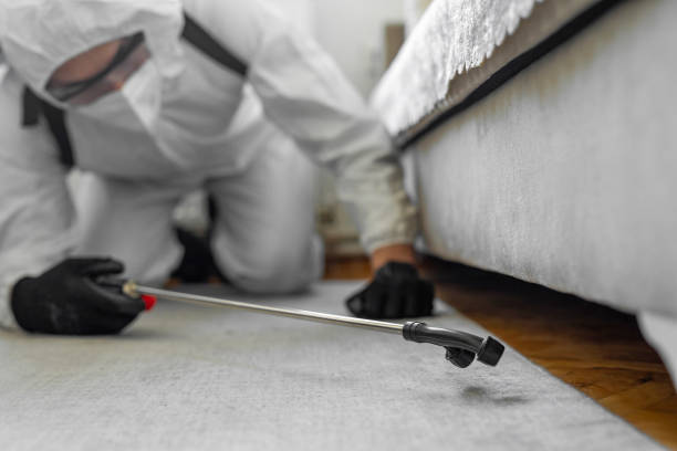 Professional Termite Control technician working in Benson, AZ